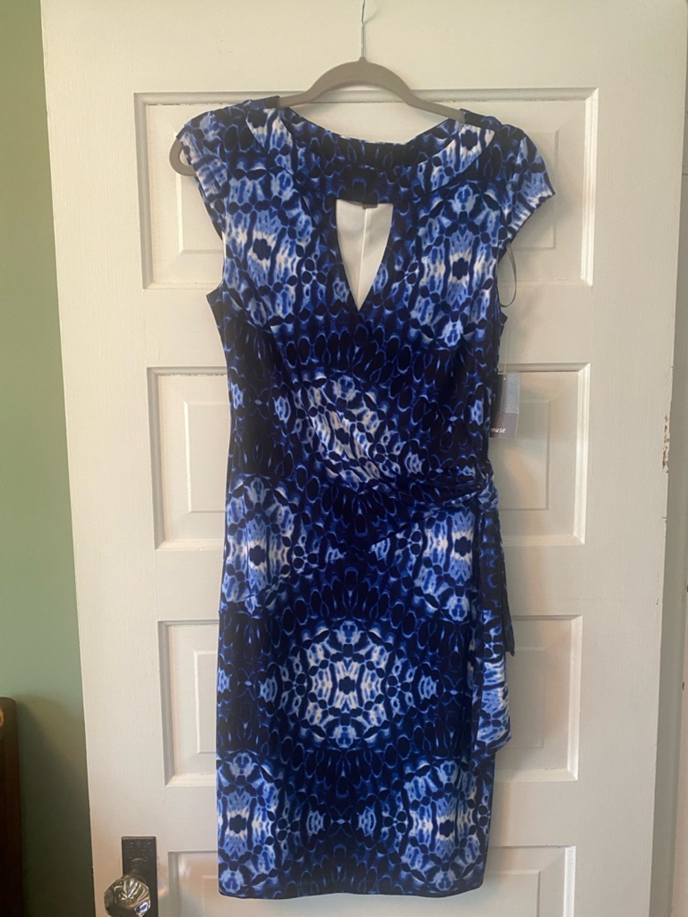 Muse Cap-Sleeve Sheath Dress